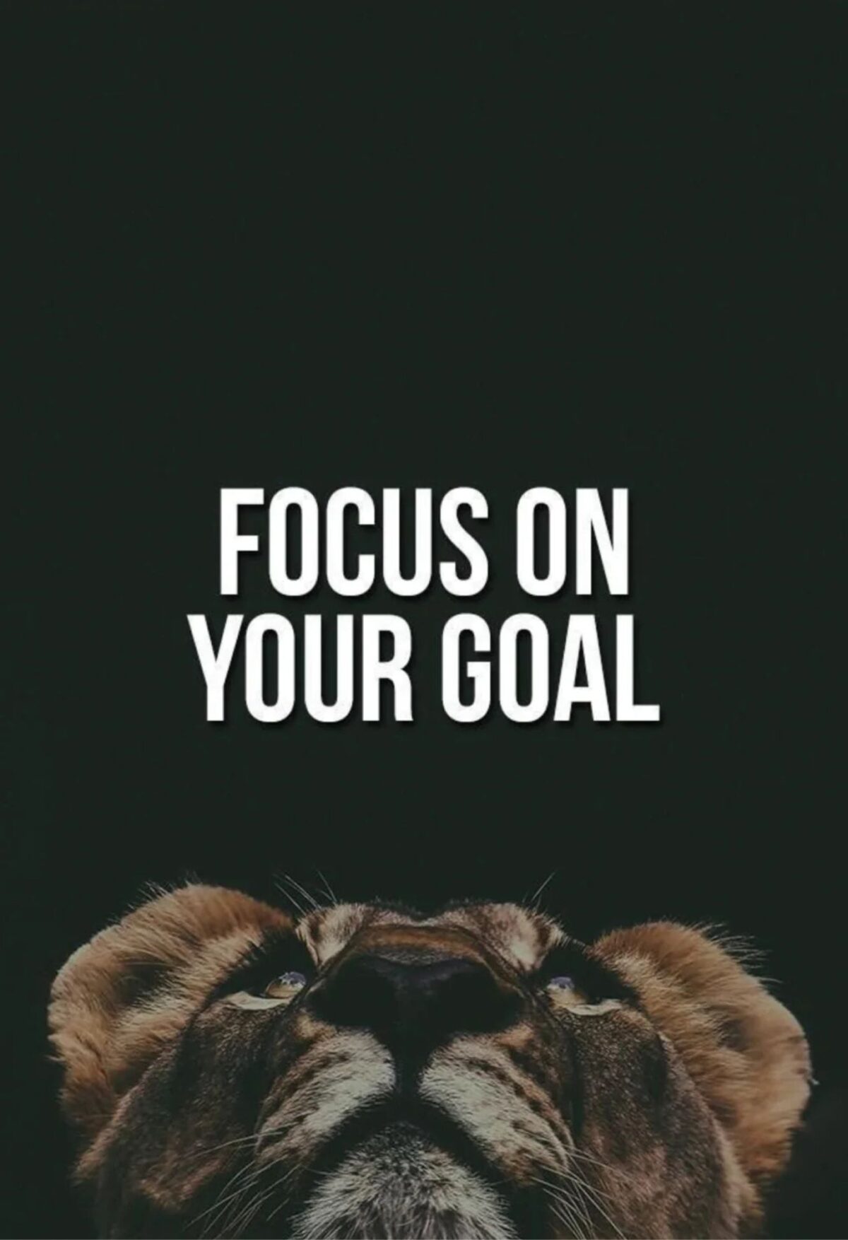 Focus on Your Goal Quote Metal Poster