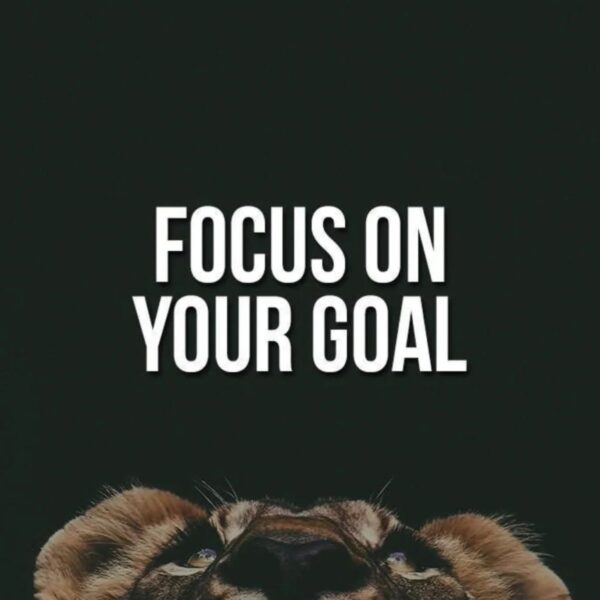 Focus on Your Goal Quote Metal Poster