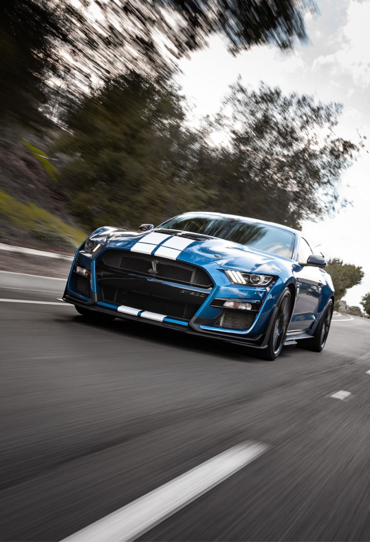 ford mustang shelby gt500 supercar metal poster