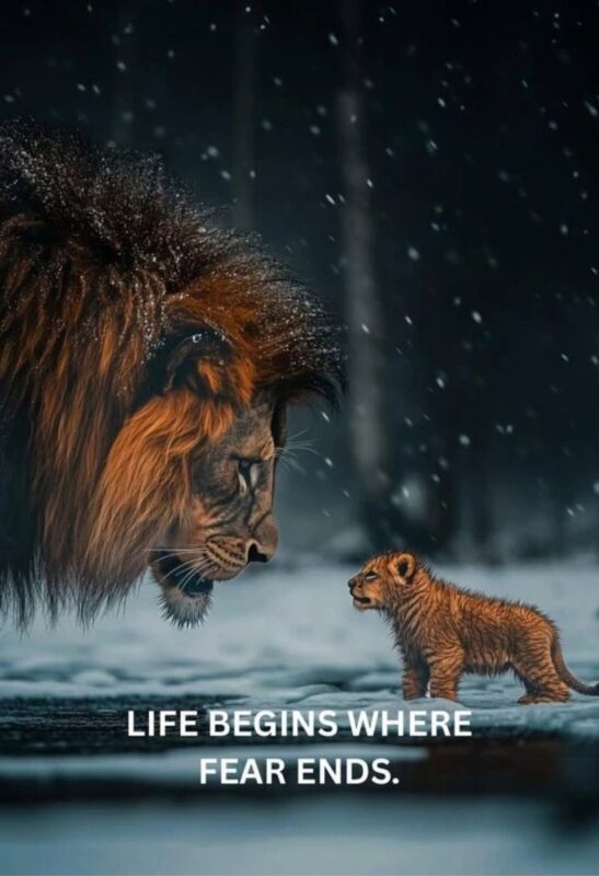 lion quote metal poster