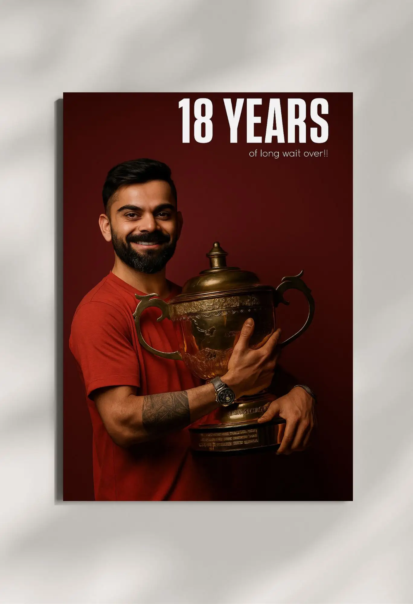 wall mounted virat kohli rcb ipl trophy metal poster