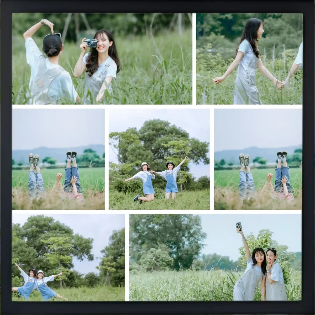 fields of joy frame