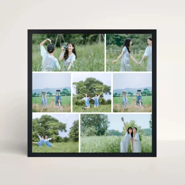 fields of joy frame front view