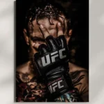 wall mounted ufc metal poster