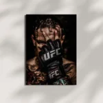 wall mounted ufc metal poster